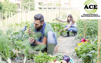 PREPARING FOR YARD WORK WITHOUT INJURIES