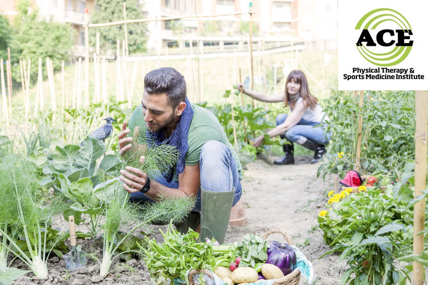 PREPARING FOR YARD WORK WITHOUT INJURIES